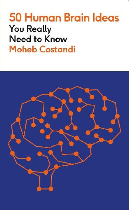 50 Human Brain Ideas You Really Need to Know