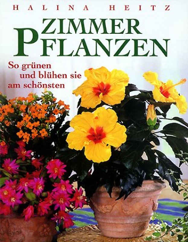 Zimmerpflanzen