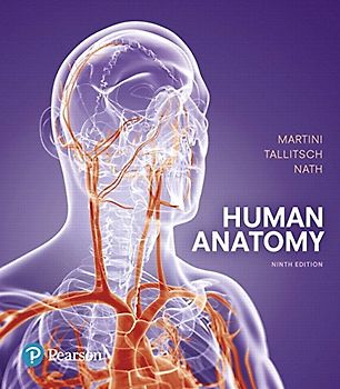 Human Anatomy: Human Anatomy_9