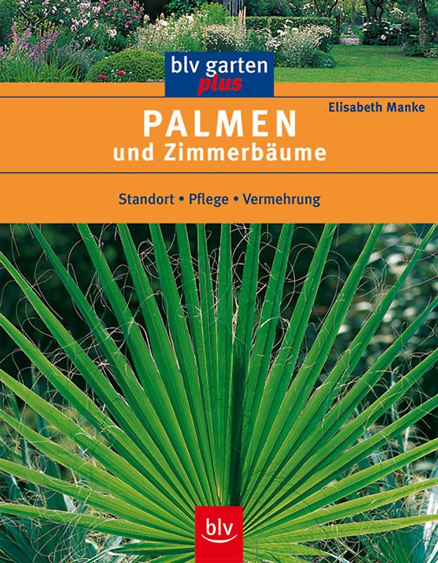 Palmen und Zimmerbäume