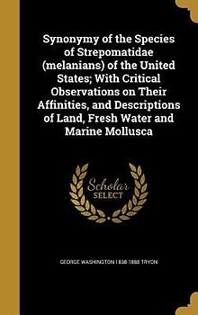 Synonymy of the Species of Strepomatidae (melanians) of the United States; With Critical Observations on Their Affinities, and Descriptions of Land, Fresh Water and Marine Mollusca