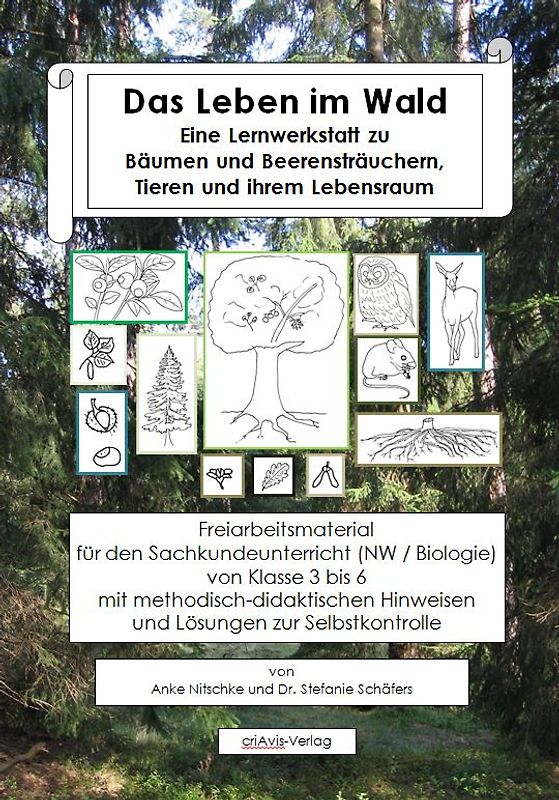 Das Leben im Wald. Eine Lernwerkstatt zu Bäumen und Beerensträuchern, Tieren und ihrem Lebensraum
