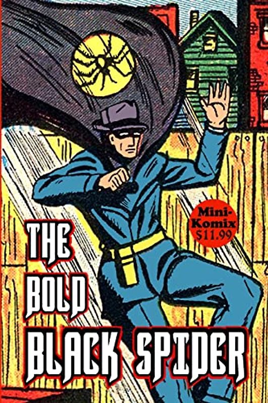 The Bold Black Spider