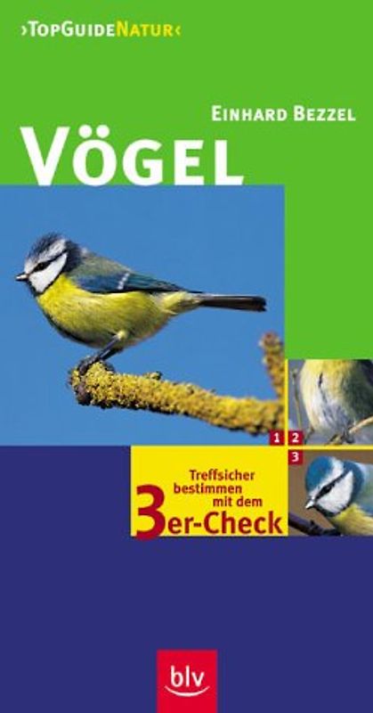 Vögel