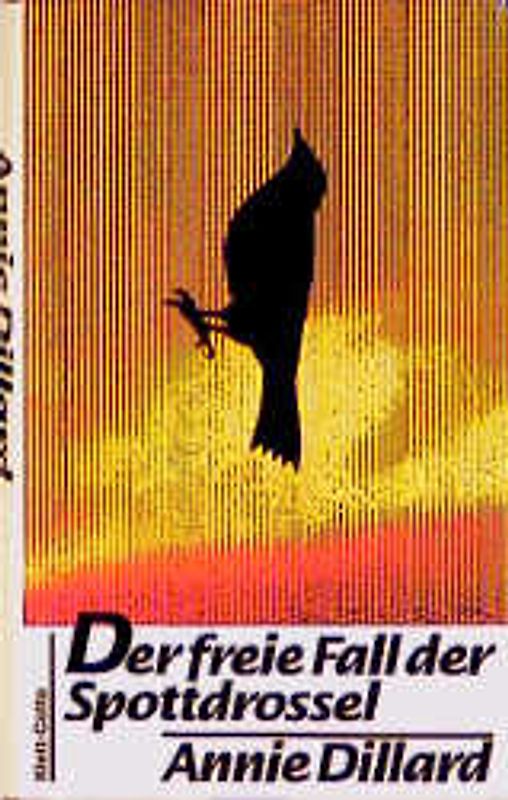Der freie Fall der Spottdrossel