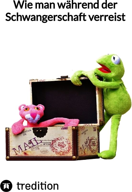 Wie man während der Schwangerschaft verreist