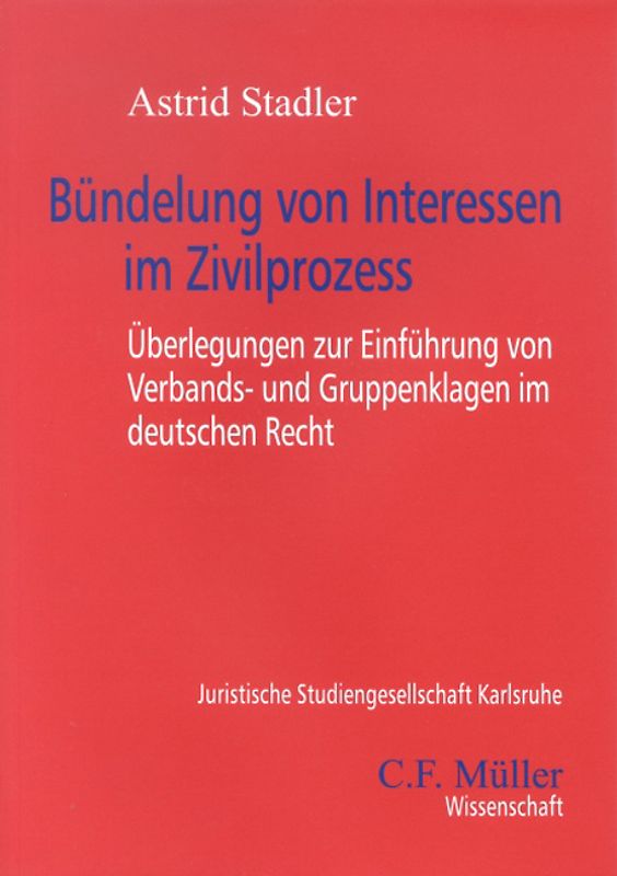 Bündelung von Interessen im Zivilprozess