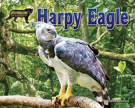 Harpy Eagle