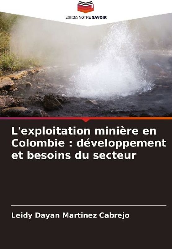 L'exploitation minière en Colombie : développement et besoins du secteur