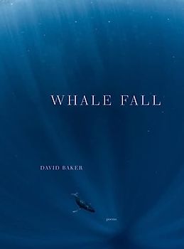 Whale Fall