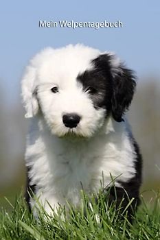 Mein Welpentagebuch: die ersten Monate mit meinem Bobtail