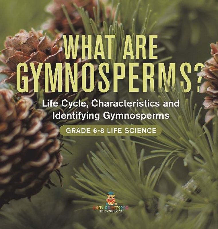What are Gymnosperms? Life Cycle, Characteristics and Identifying Gymnosperms | Grade 6-8 Life Science