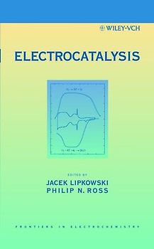 Electrocatalysis