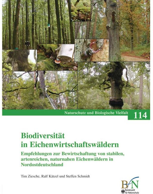 Biodiversität von Eichenwirtschaftswäldern