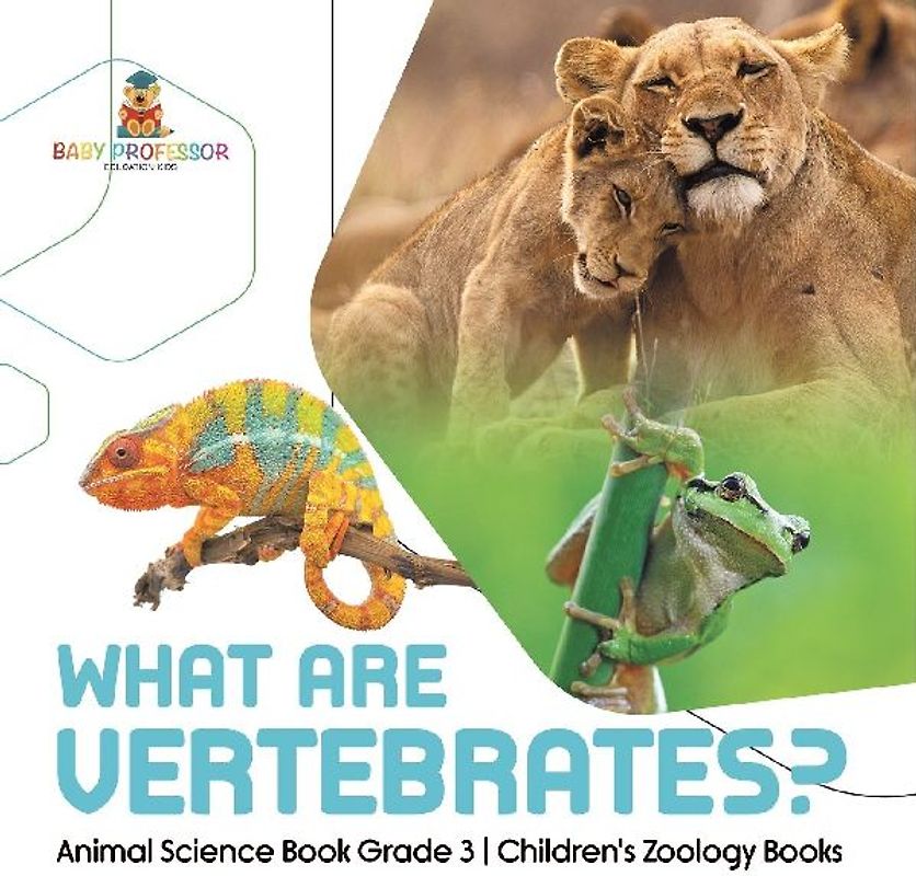 What Are Vertebrates? | Animal Science Book Grade 3 | Children's Zoology Books