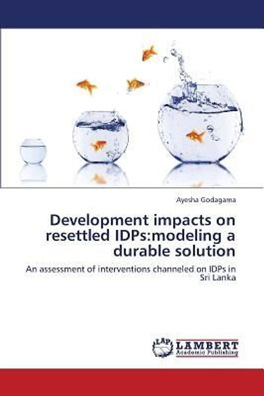 Development impacts on resettled IDPs:modeling a durable solution