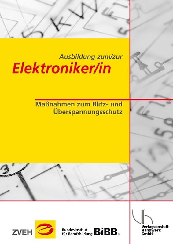 Ausbildung zum/zur Elektroniker/in. Maßnahmen zum Blitz- und Überspannungsschutz
