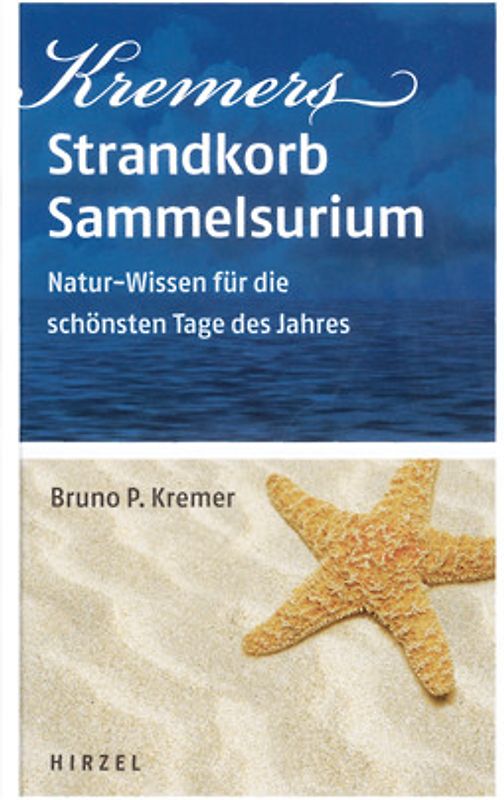 Kremers Strandkorb-Sammelsurium