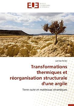 Transformations thermiques et réorganisation structurale d'une argile