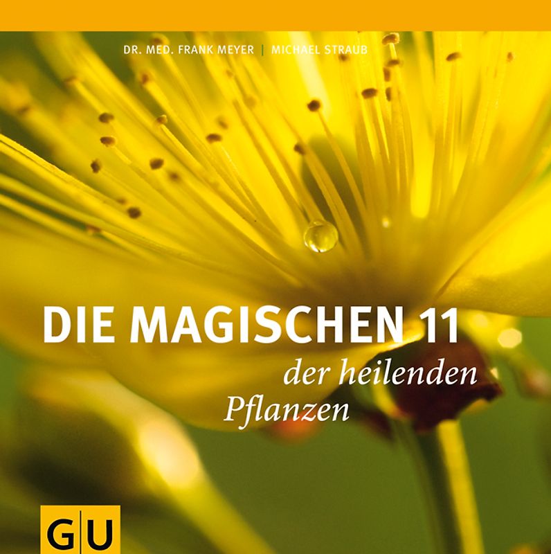 Die magischen 11 der heilenden Pflanzen