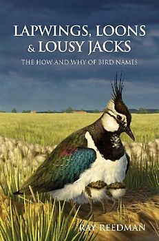 Lapwings, Loons and Lousy Jacks