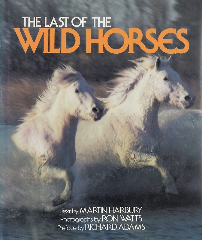 Last of the Wild Horses - Martin Harbury [Hardcover]