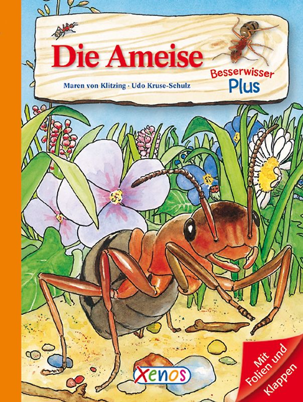 Besserwisser Plus - Die Ameise