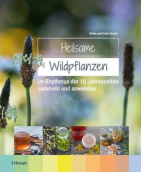 Heilsame Wildpflanzen