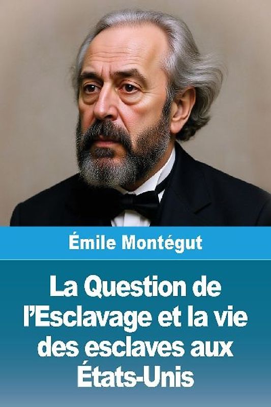 La Question de l'Esclavage et la vie des esclaves aux États-Unis