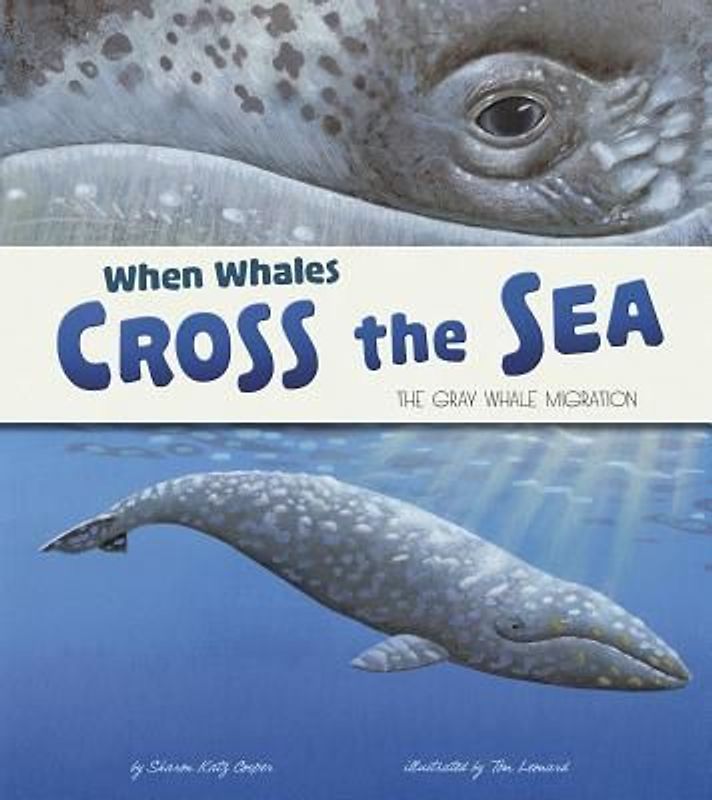 When Whales Cross the Sea