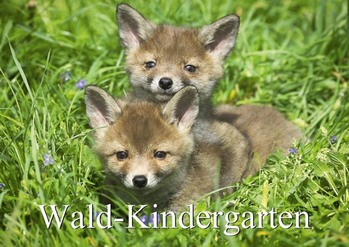 Wald-Kindergarten (Posterbuch DIN A4 quer)