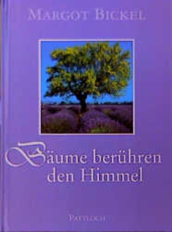 Bäume berühren den Himmel