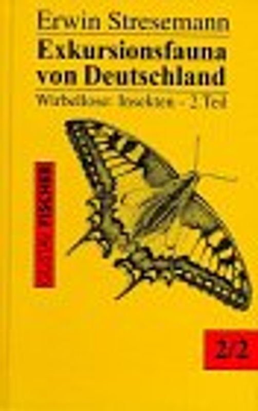 Wirbellose, Insekten