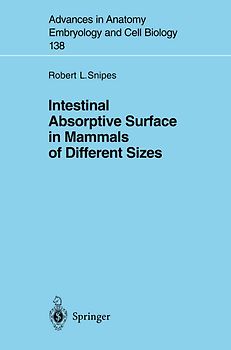 Intestinal Absorptive Surface in Mammals of Different Sizes