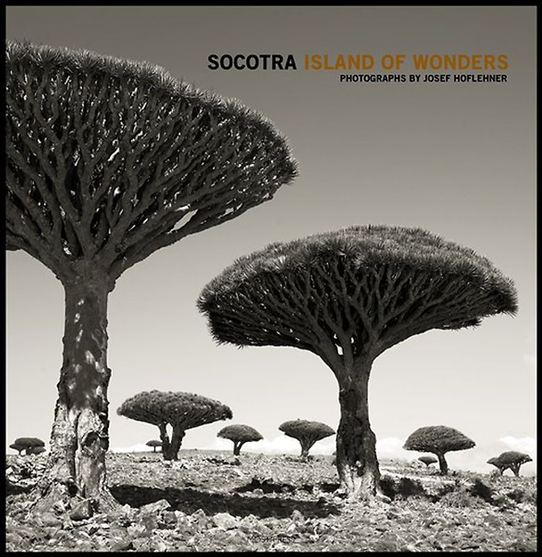 Socotra