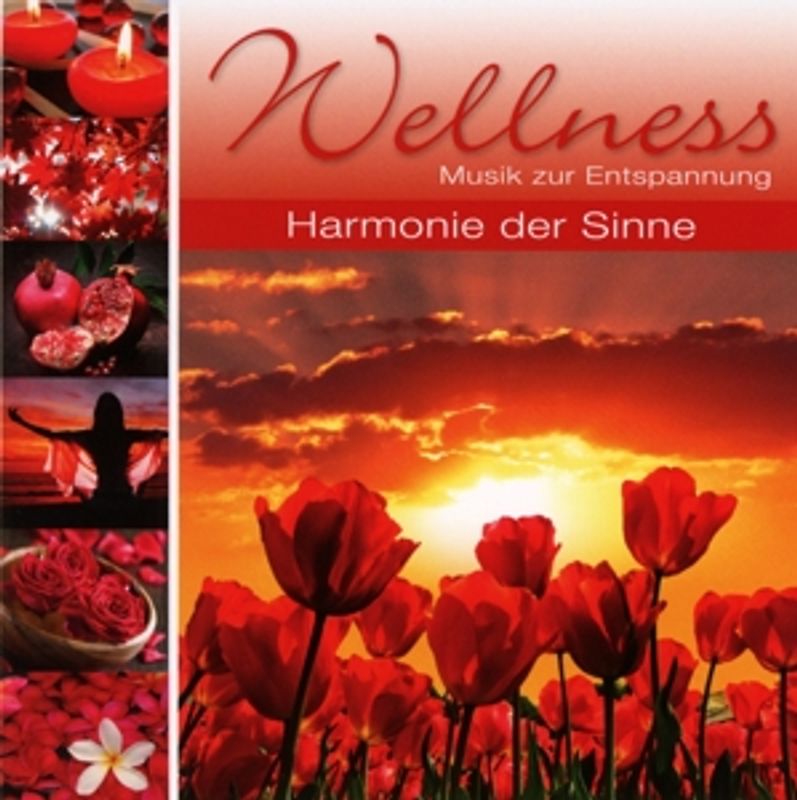 Various - Wellness-Harmonie der Sinne