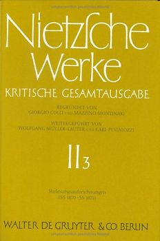 Vorlesungsaufzeichnungen (SS 1870 - SS 1871)