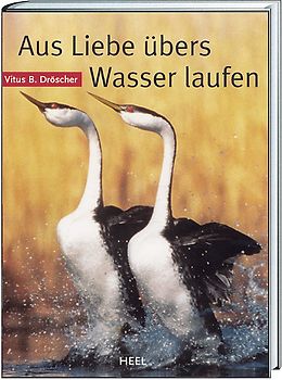 Aus Liebe übers Wasser laufen
