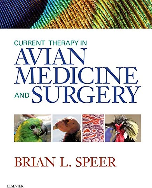 Current Therapy in Avian Medicine and Surgery