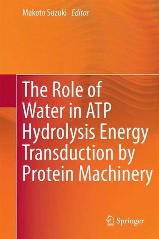 The Role of Water in ATP Hydrolysis Energy Transduction by Protein Machinery