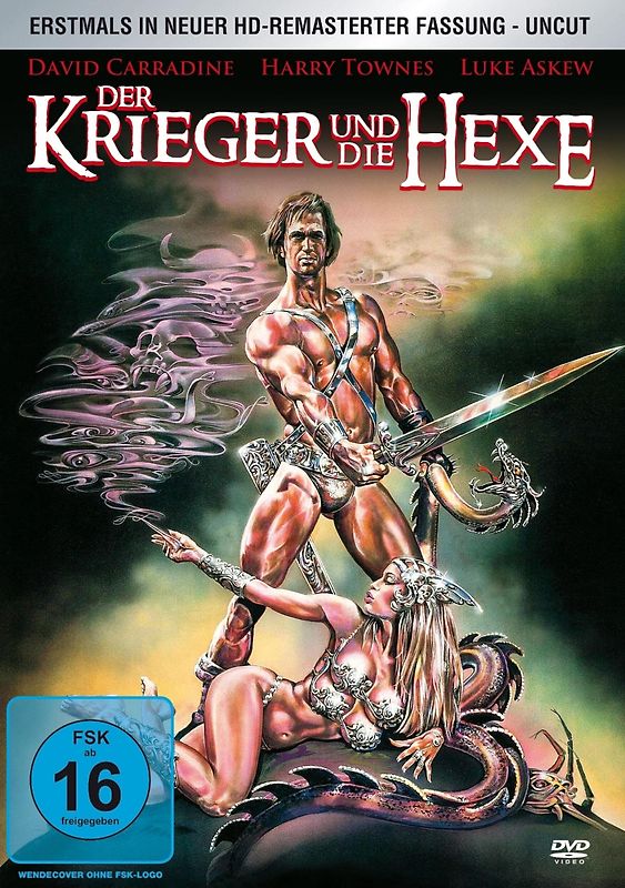 Der Krieger und die Hexe DVD