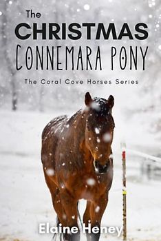 The Christmas Connemara Pony - The Coral Cove Horses Series (Coral Cove Horse Adventures for Girls and Boys, Band 6)