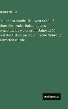 Ueber das Bruchstück vom Schädel eines Finnwales Balaenoptera syncondylus welches im Jahre 1860 von der Ostsee an die kurische Nehrung geworfen wurde
