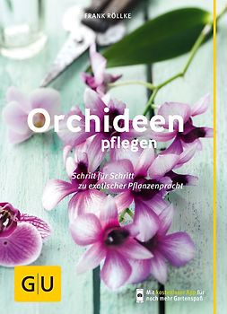 Orchideen pflegen