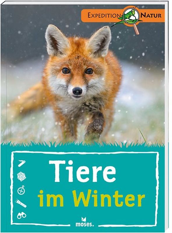 Tiere im Winter