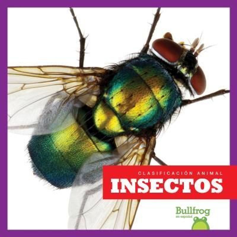 Insectos (Insects)
