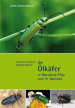 Die Ölkäfer in Rheinland-Pfalz und im Saarland