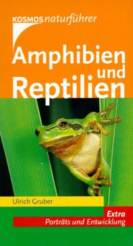 Amphibien und Reptilien