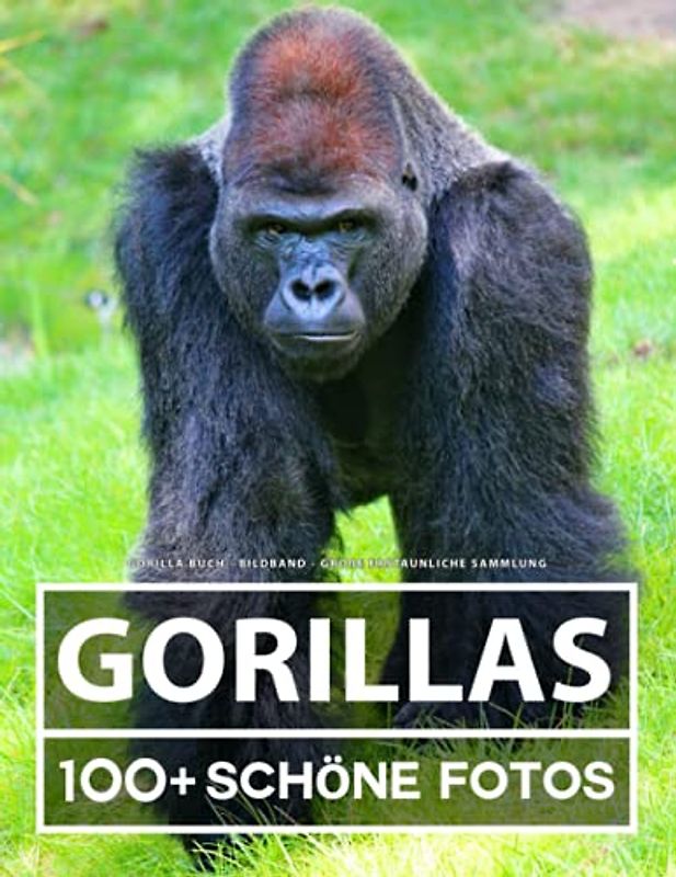 Gorilla Buch - Bildband - Große Erstaunliche Sammlung: 100 Wunderschöne Bildern - Für Kinder und Erwachsene
