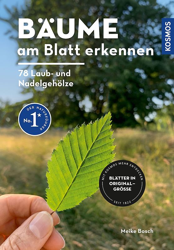 Bäume am Blatt erkennen - 78 Laub- und Nadelgehölze. Blätter in Originalgröße